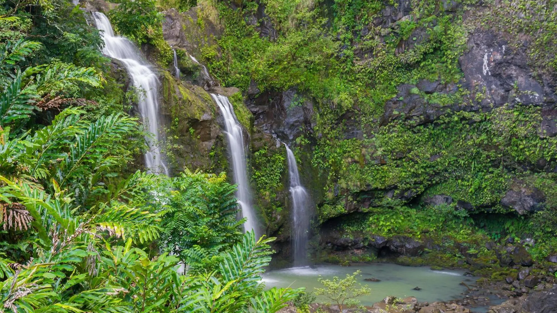Valley Isle 204 Kahana Prázdninový dům